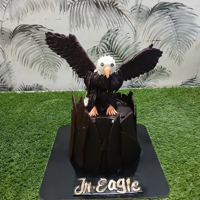 Jr. Eagle: A tribute to Pakistan's Eagle